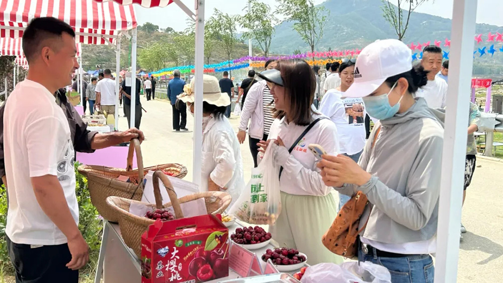 2024第十七屆濟南·萊蕪櫻桃文化旅游節(jié)展區(qū).jpg